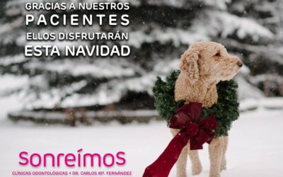 Un gesto por los animales más necesitados para terminar el año