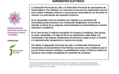 Derechos del consumidor en materia de suministro eléctrico