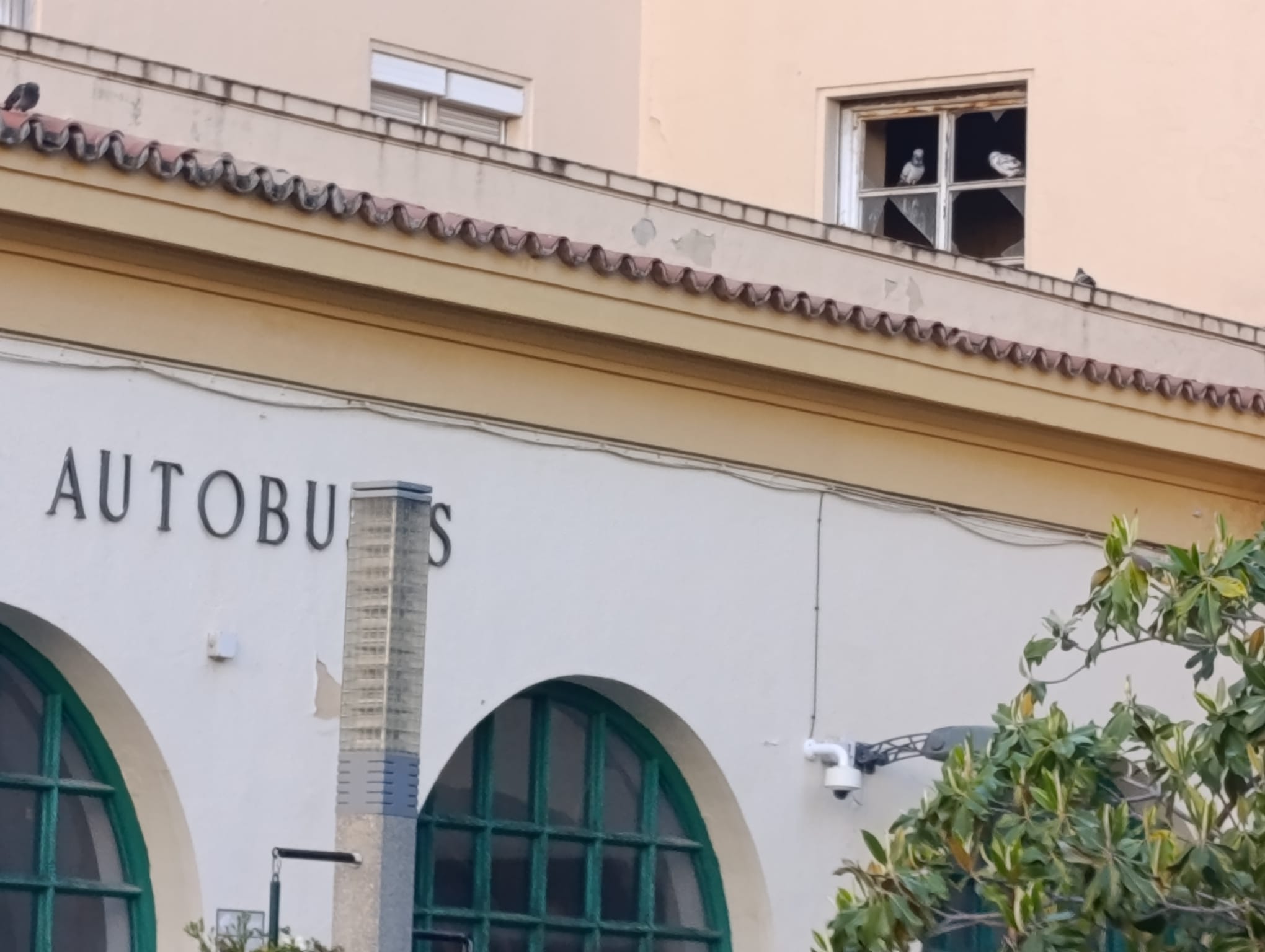 Estación de autobuses (2) hotel Fernando