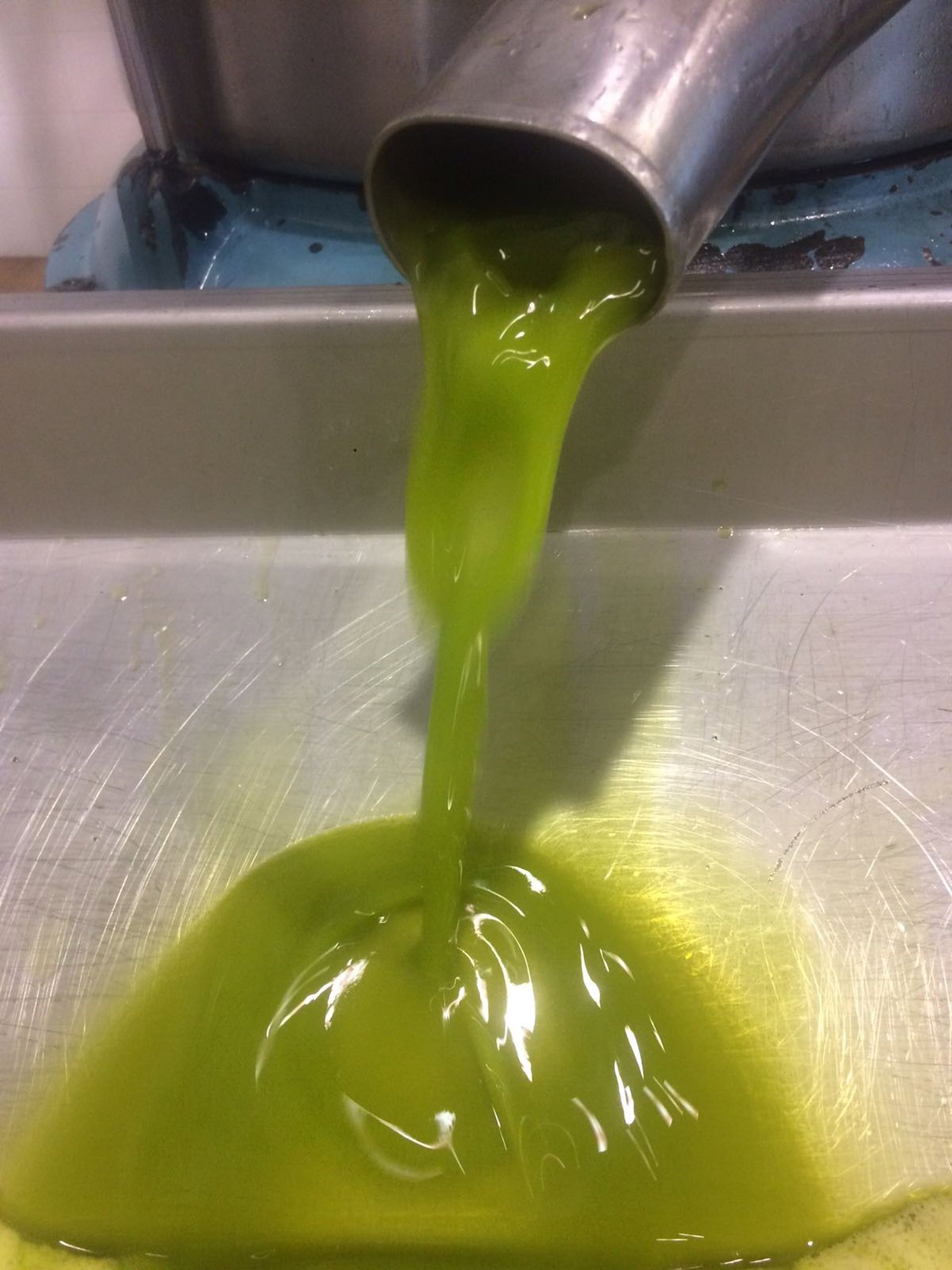 Jaén.- Cooperativas ve «muy difícil» alcanzar el aforo de 475.000 toneladas de aceite de oliva en la provincia