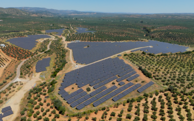 Naturgy dona más de 1.100 litros de aceite ecológico producido en sus plantas solares a ocho entidades sociales de Jaén
