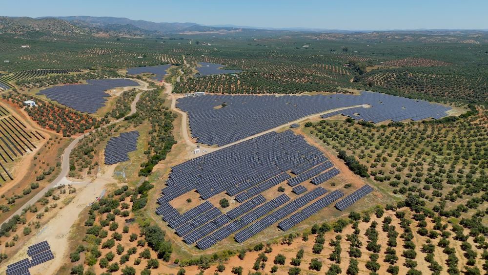 Naturgy dona más de 1.100 litros de aceite ecológico producido en sus plantas solares a ocho entidades sociales de Jaén
