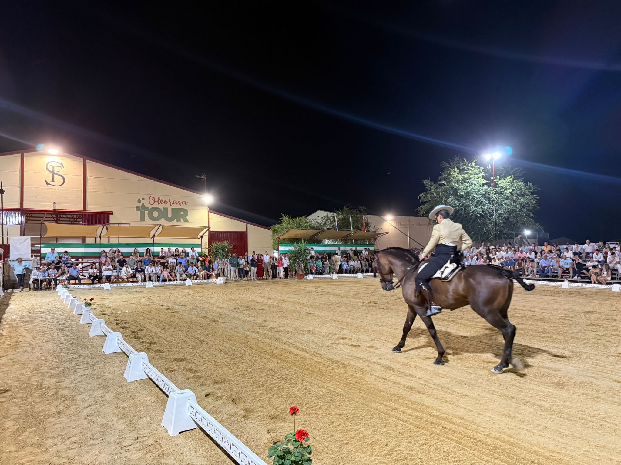 20260621 El presidente de la Diputación asiste al Sal on del Caballo de Arjona 2