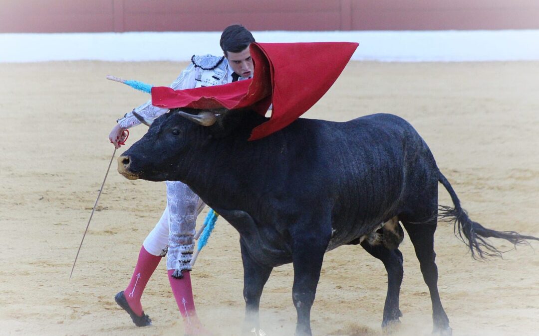 Alfonso Morales debutará el  de julio en la plaza de toros de Linares