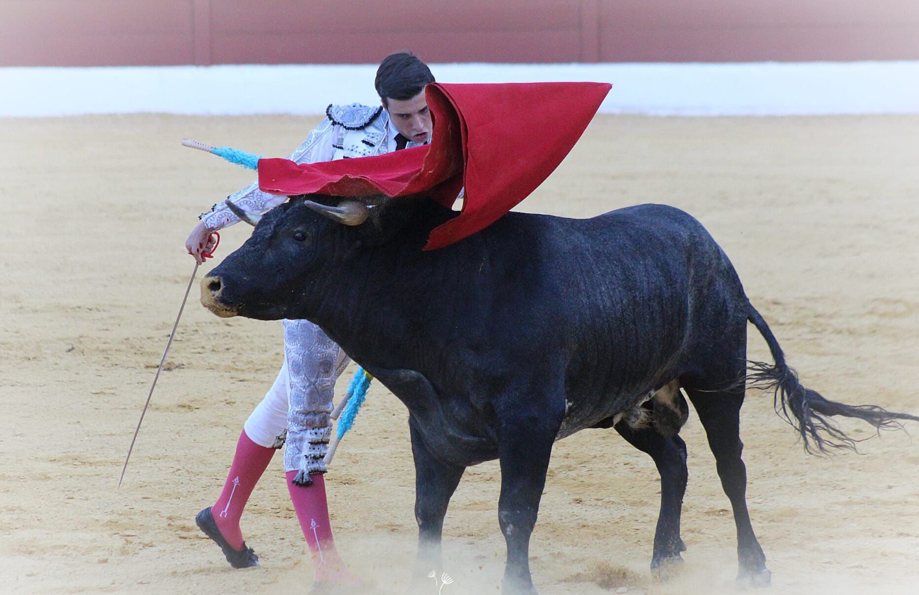 Alfonso Morales (Pase de pecho-Jódar)