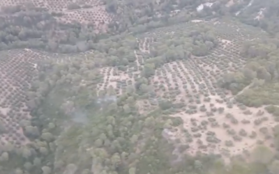 Declarado un incendio forestal en el paraje Umbría de Saro, en Sorihuela del Guadalimar