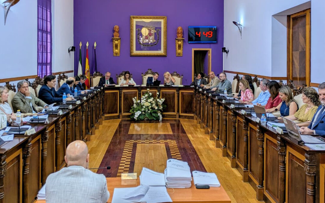El Pleno del Ayuntamiento respalda por unanimidad la Alianza por una Ley de Cribado Neonatal para garantizar la igualdad desde el nacimiento