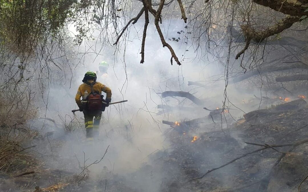 Declarado un incendio forestal en Linares