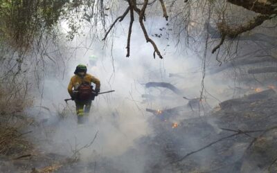 Declarado un incendio forestal en Linares