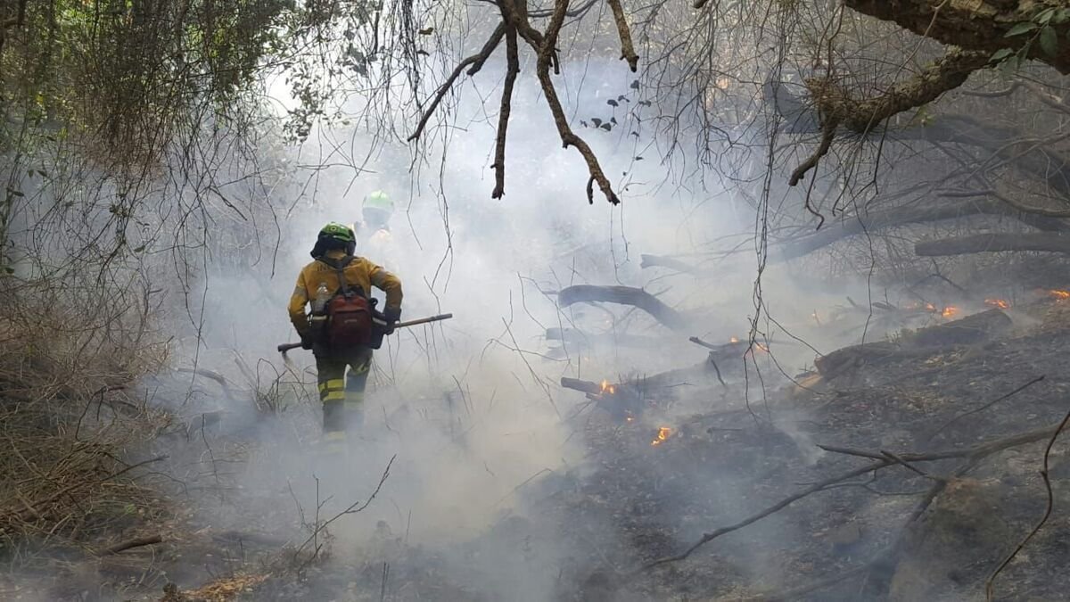Bomberos de Infoca.