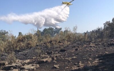 Controlado el incendio forestal declarado en la urbanización Huerta San Roque de Linares