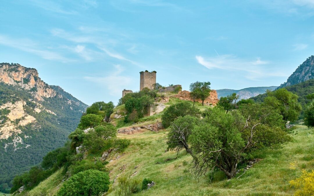 El Ayuntamiento culmina la recuperación del camino de Otíñar y garantiza el tránsito en todo su recorrido