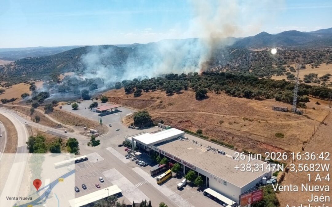 Declarado un incendio forestal en Santa Elena