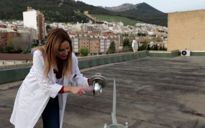 El Hospital de Jaén da por finalizada la campaña de polen tras un pico de 9.000 granos por metro cúbico en mayo