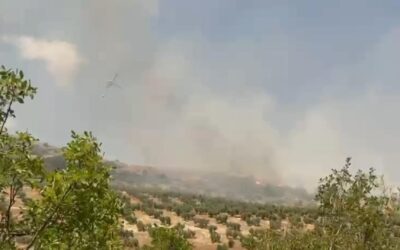 Controlado el incendio forestal declarado este jueves en el paraje de Mirasierra, en Jaén capital