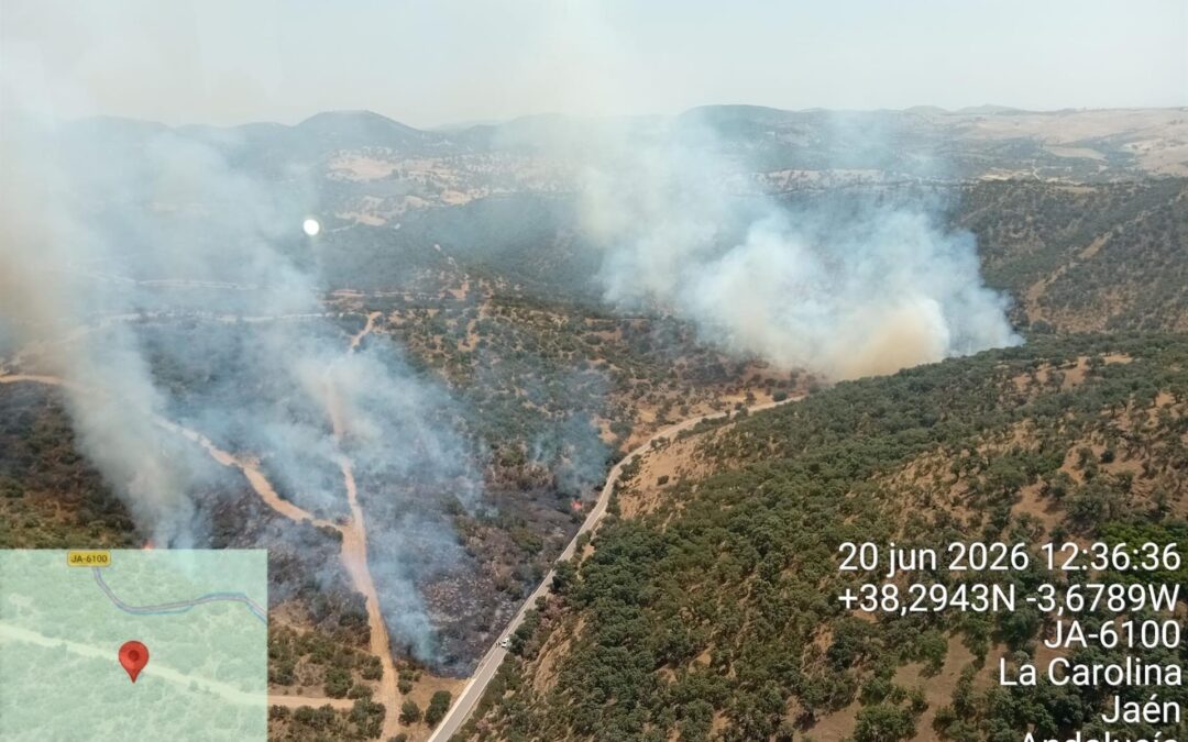 Extinguido el incendio forestal declarado en La Carolina