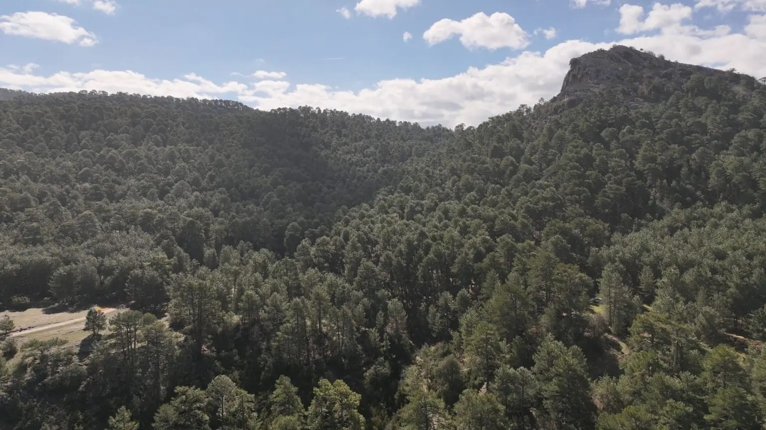 260708_BOJA_Inventario de Montes de Andalucía