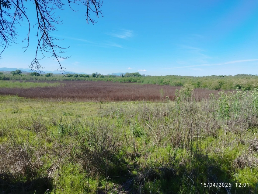 La Laguna Grande de Baeza entra en la Lista Roja del Patrimonio de Hispania Nostra