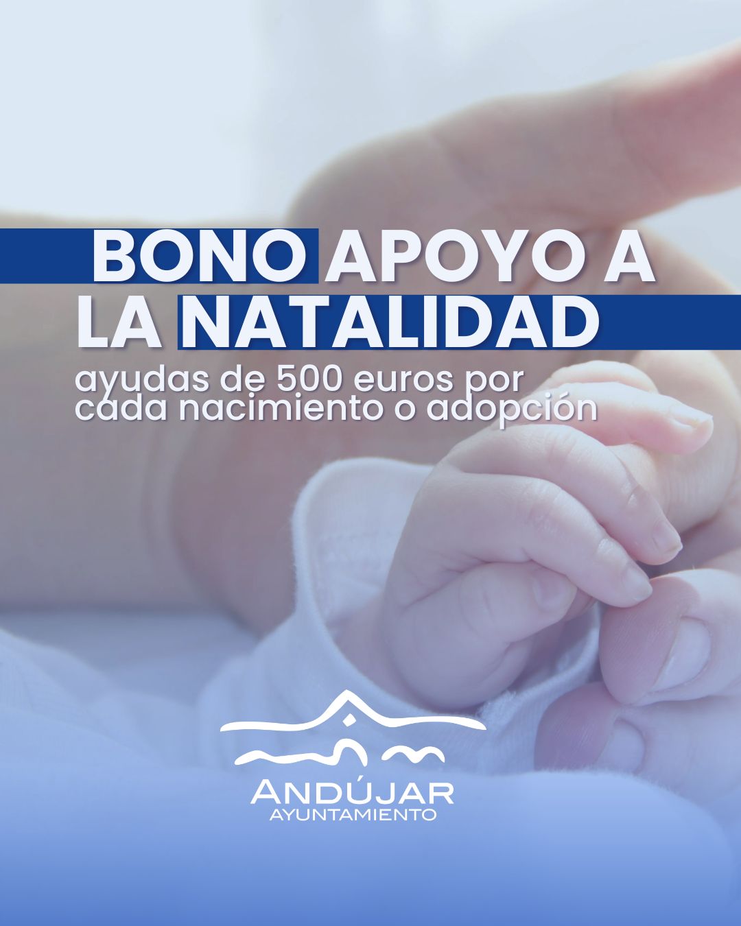BONO APOYO A LA NATALIDAD