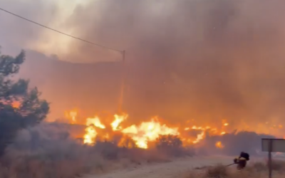 Se elevan, al menos, a 11 los fallecidos en el incendio de Los Gallardos en Almería