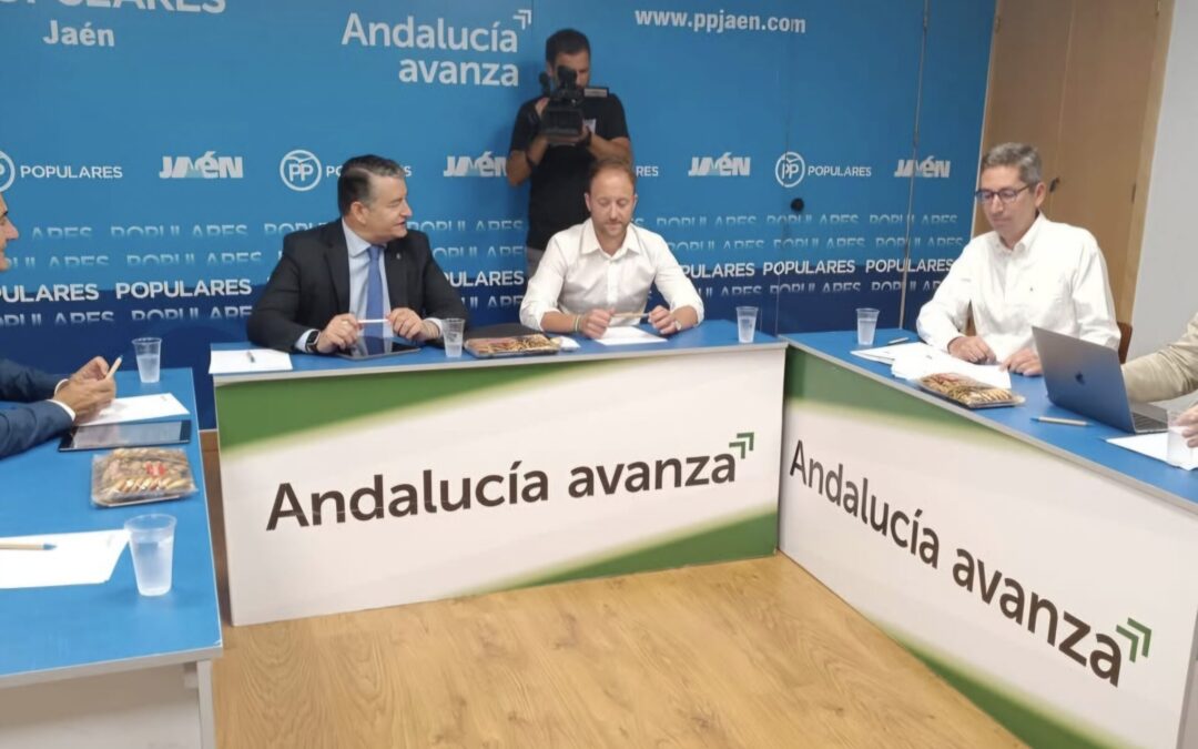 JM+ valora el nombramiento de Erik Domínguez y le conmina a que asuma la responsabilidad de poner a Jaén por encima de las siglas