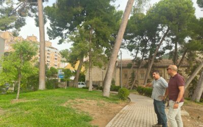 Jaén avanza en los trabajos de recuperación del Parque del Seminario con la reposición del arbolado
