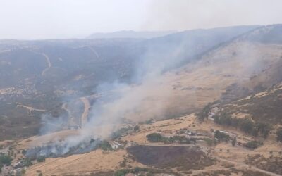 Declarado un incendio forestal en La Carolina