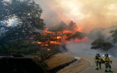El Gobierno declara a Santa Elena zona gravemente afectada por los incendios forestales