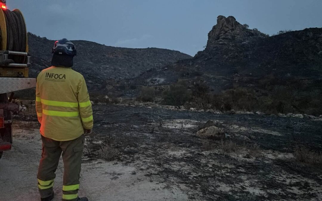«Andalucía lleva el triple de superficie quemada que hace un año»