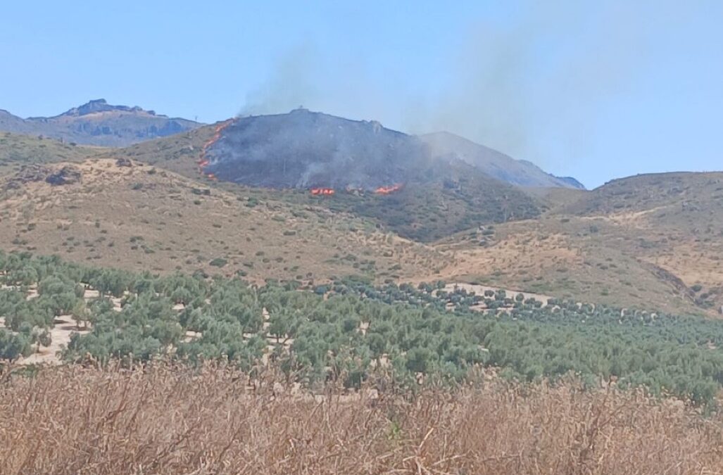 Un incendio forestal declarado en Jódar moviliza a 35 profesionales y medios aéreos