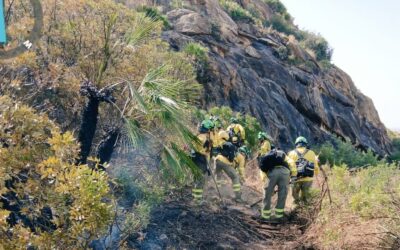 El incendio forestal de Los Gallardos en Almería queda estabilizado y se permite regresar a 1.000 desalojados