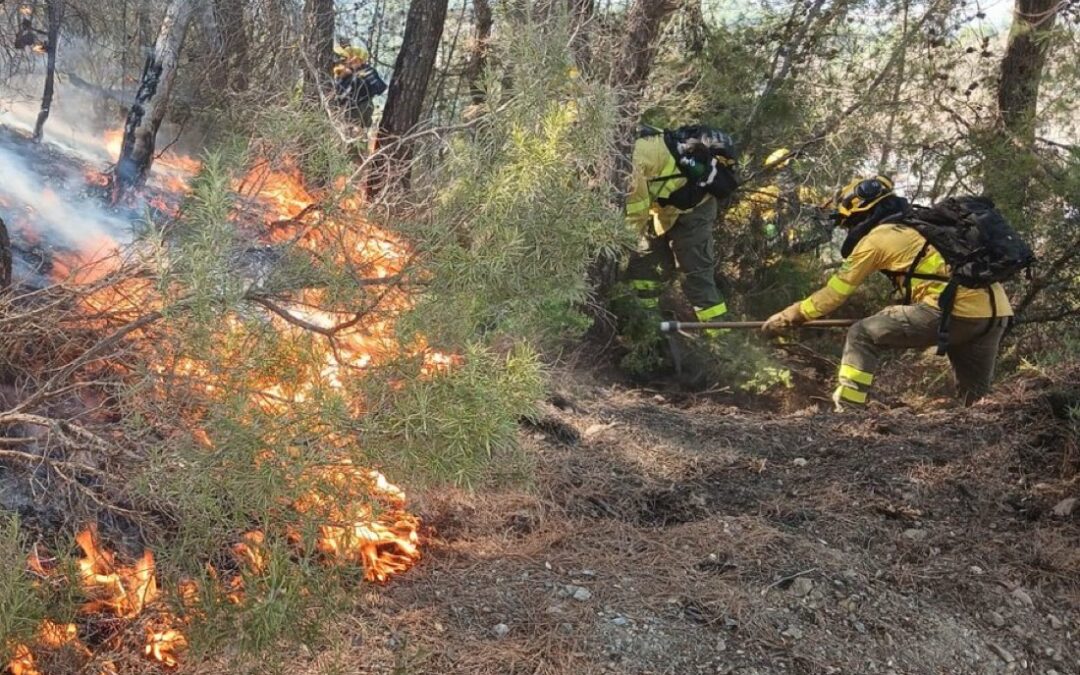 Infoca actúa en un incendio forestal en Santiago-Pontones, en la zona de Cortijo de la Sauquera