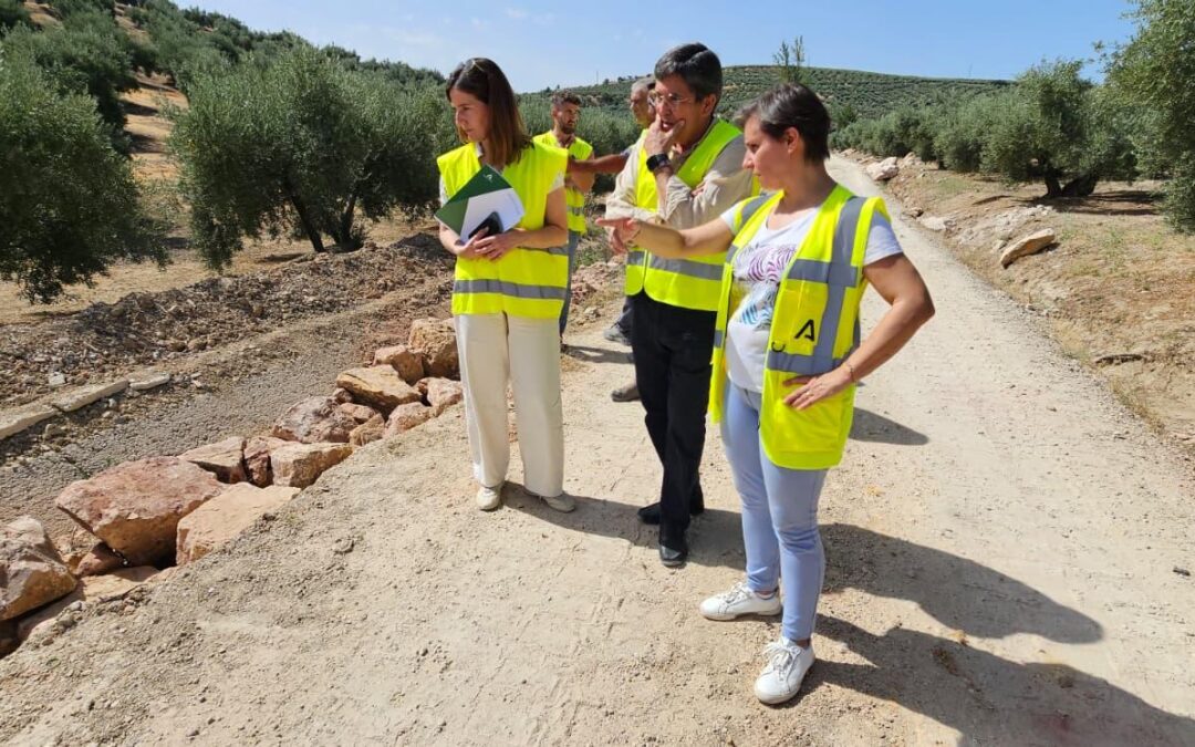 La Junta interviene en la mejora de 15 caminos rurales en Torredonjimeno y Villardompardo