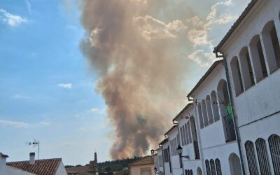 Declarado un incendio forestal en el paraje Los Abades de Santa Elena