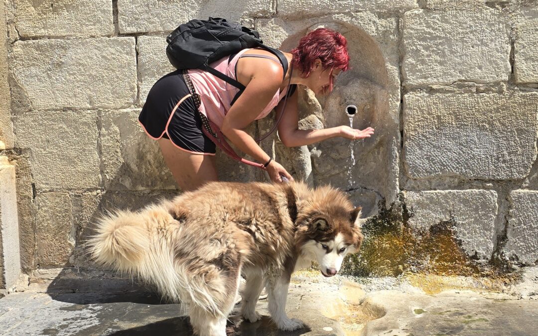 Aviso naranja este viernes por calor en Jaén, con máximas por encima de los 40 grados