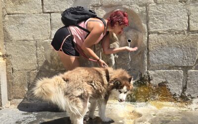 Aviso naranja este viernes por calor en Jaén, con máximas por encima de los 40 grados