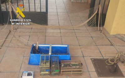 La Guardia Civil investiga a un hombre por la captura ilegal de jilgueros en Martos