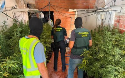 Desmantelada una plantación de marihuana y un punto de venta de droga en Baños de la Encina