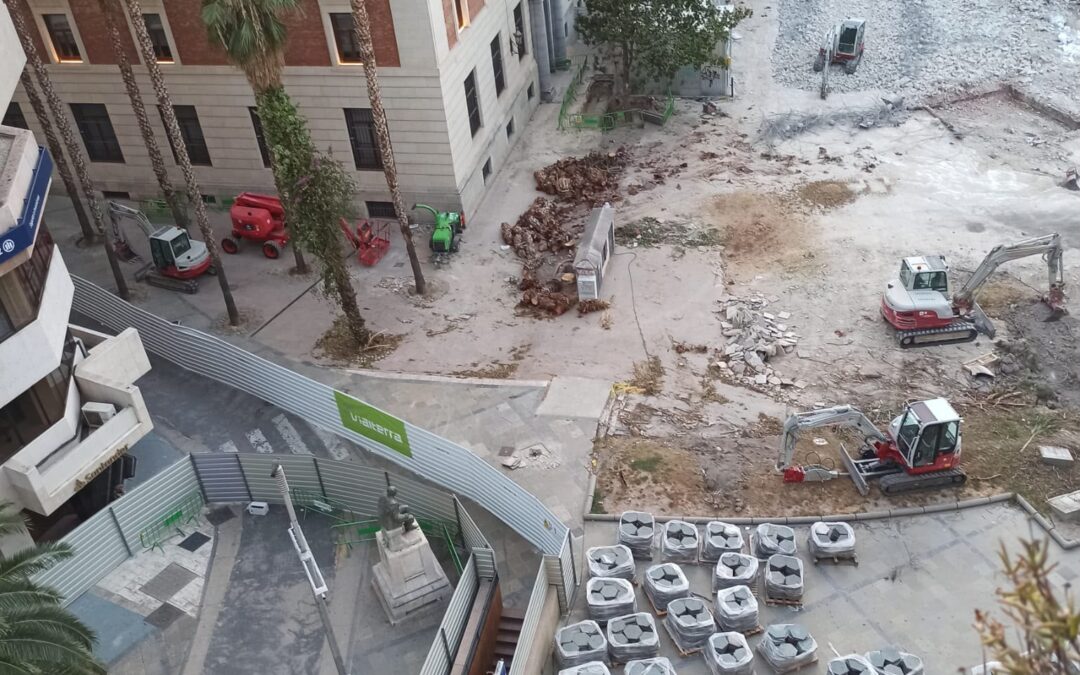 El PP exige explicaciones por la tala de cuatro palmeras históricas en la plaza de la Constitución