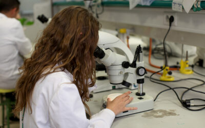 La UJA capta talento investigador internacional de excelencia con la obtención de cuatro ayudas del programa Beatriz Galindo