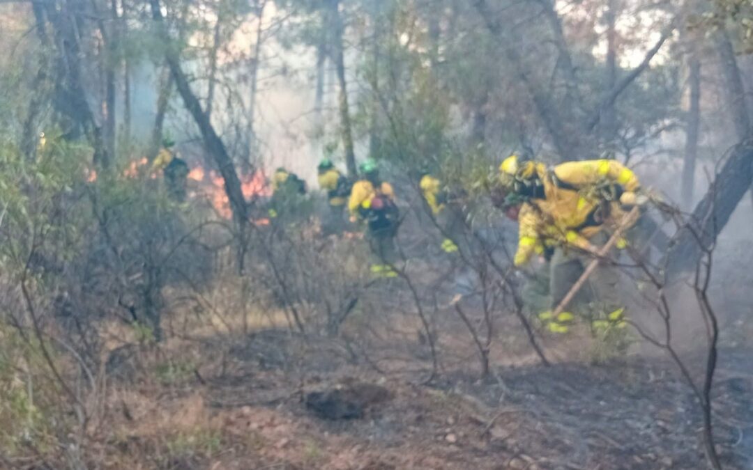 La Junta destaca la evolución «muy favorable» en el incendio forestal de Santa Elena