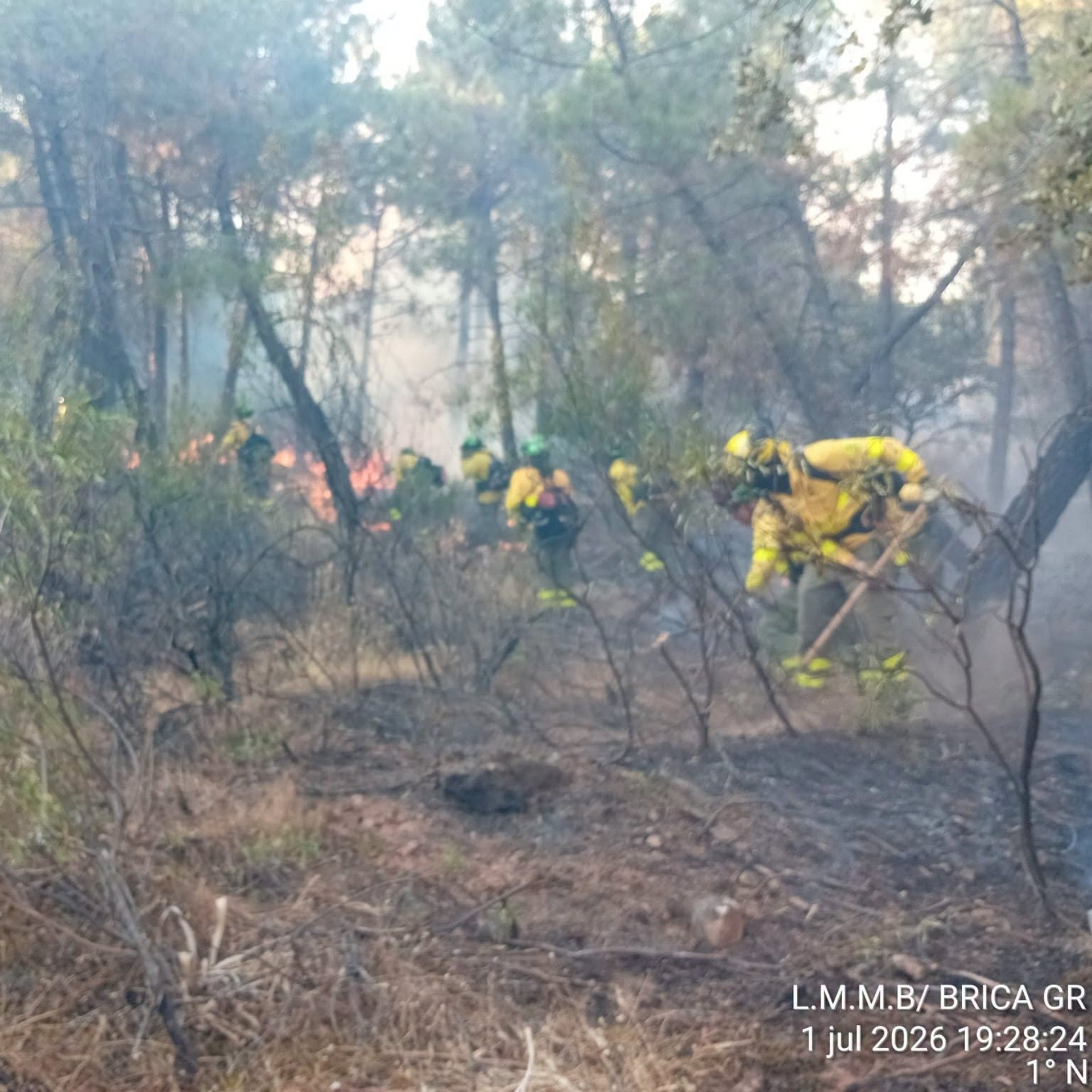 Sucesos.- La Junta destaca la evolución «muy favorable» en el incendio forestal de Santa Elena (Jaén)