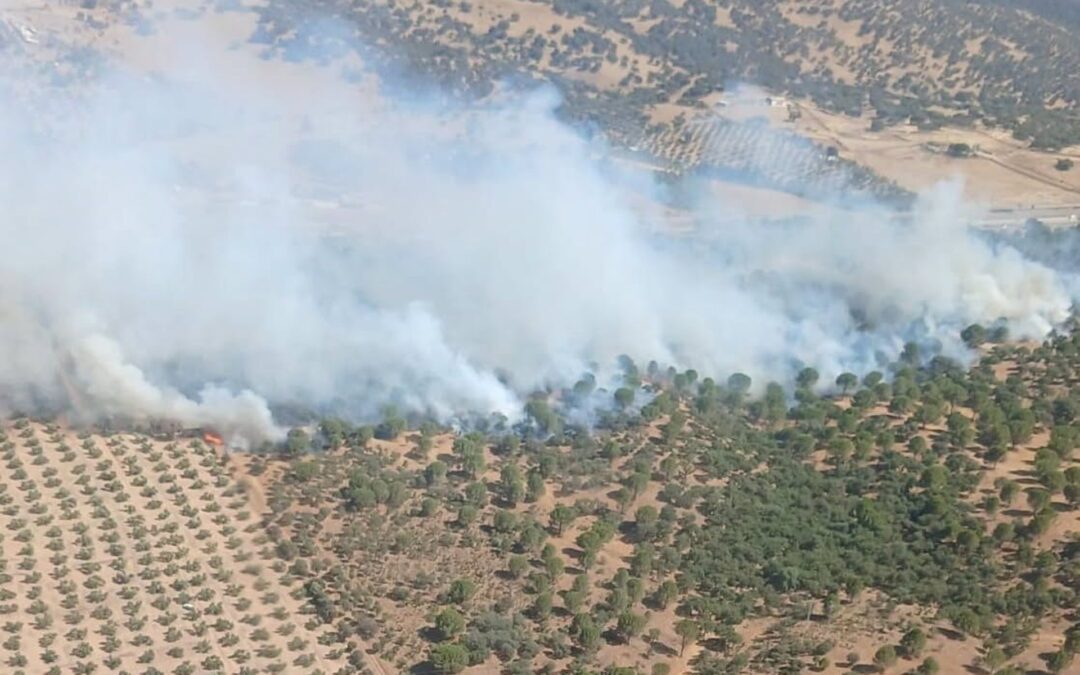 Controlado el incendio declarado en Santa Elena, en un paraje próximo a la A-4
