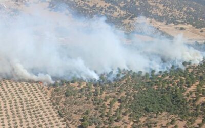 Controlado el incendio declarado en Santa Elena, en un paraje próximo a la A-4