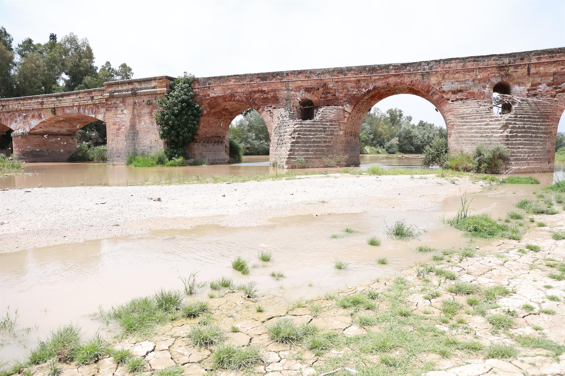 fotonoticia_20260712111454_1920