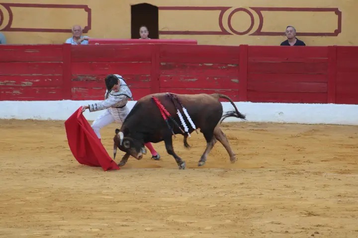 img_1_1785077057353