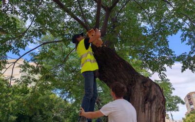 El programa Anida Jaén suma ya 30 cajas nido para reforzar la biodiversidad urbana