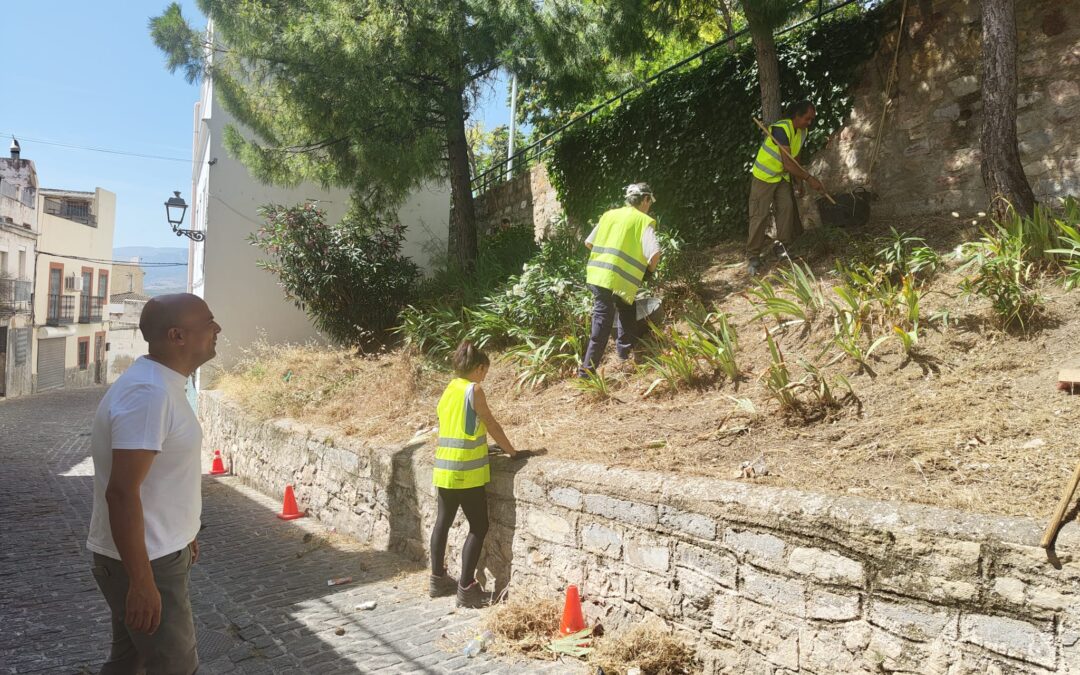 Jaén licita por 157.000 euros el suministro para el proyecto de reforestación urbana del PFEA 2025