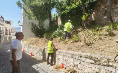 Jaén licita por 157.000 euros el suministro para el proyecto de reforestación urbana del PFEA 2025