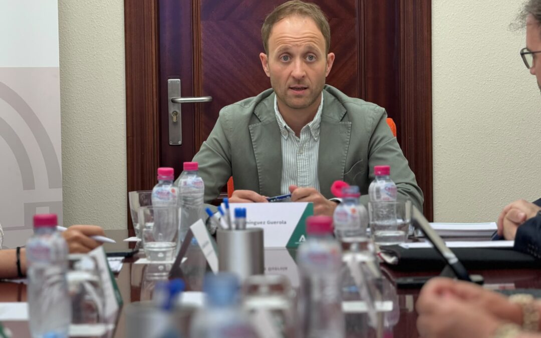 Erik Domínguez preside la primera reunión de coordinación con los delegados territoriales en Jaén
